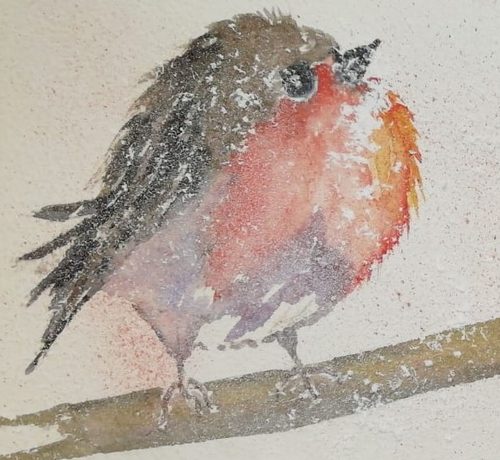 Christine M, Robin 1, watercolour.